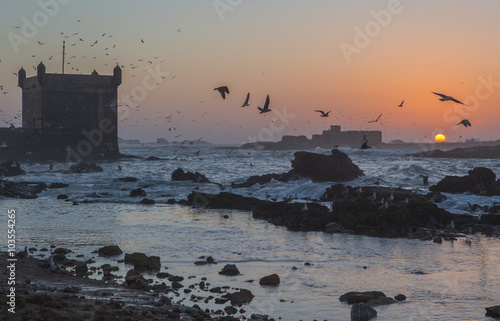 Sunset in Essaouira Fortress, Morocco, North Africa