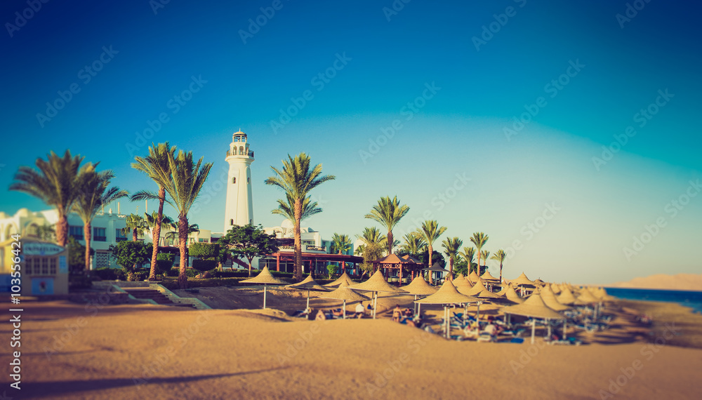 Buildings of the luxury hotel and palm alley on egyptian beach, lighthouse. Red Sea. Egypt.