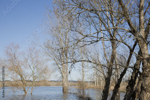 Wallpaper Mural Park of Vagos,Europa,Portugal.
 Torontodigital.ca