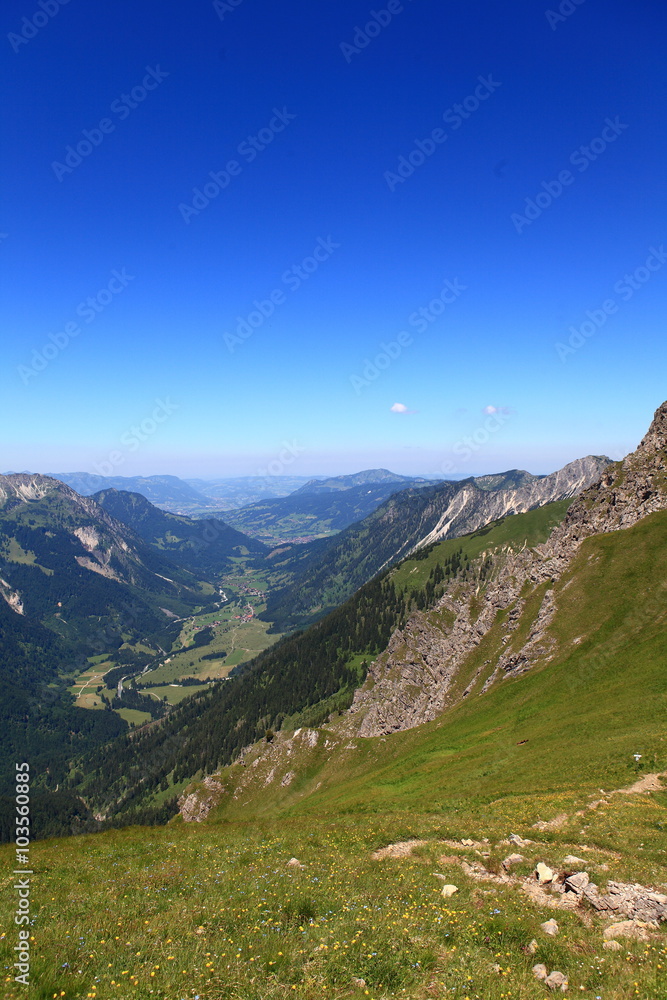 Fototapeta premium Talblick im Oberallgäu