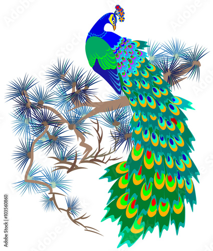 Illustration of fairyland bird sitting on a branch of pine, vector cartoon image.