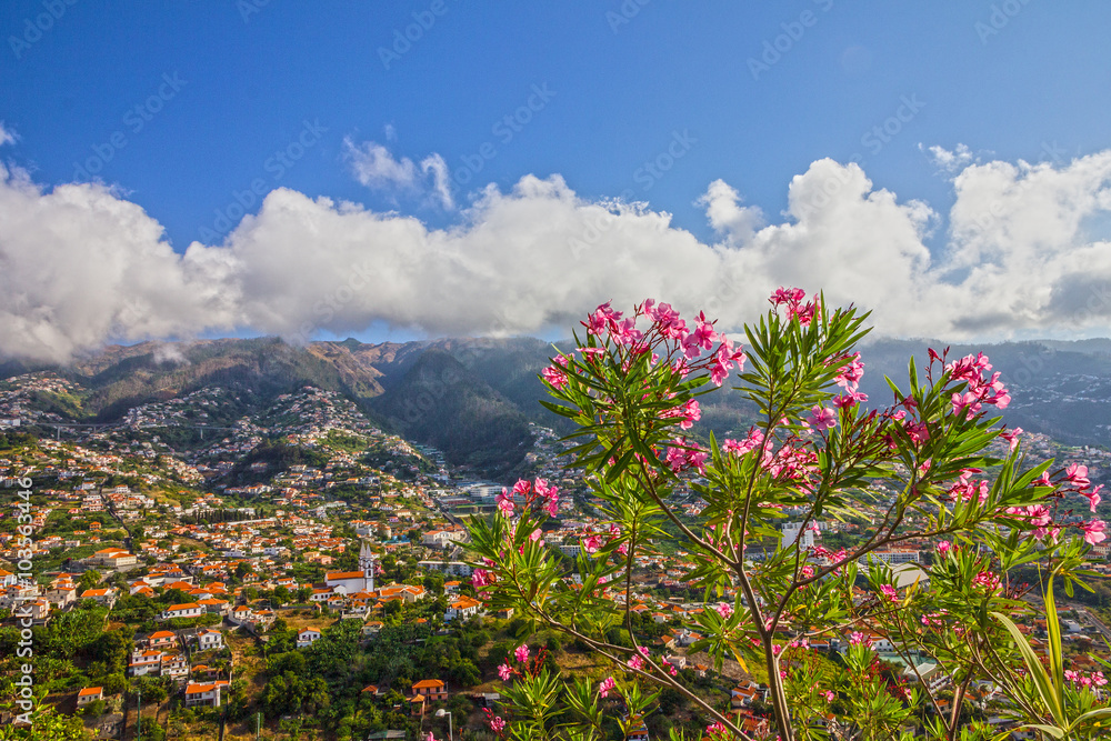 Panoramic view on Funchal - capital of Madeira Panoramic view on Funchal - capital of Madeira