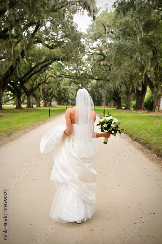 Beautiful Bride walking down country road
