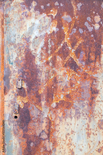 Rost2302a