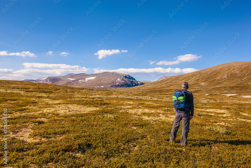hiker with backpack traveling in Norway mountains Dovrefjell