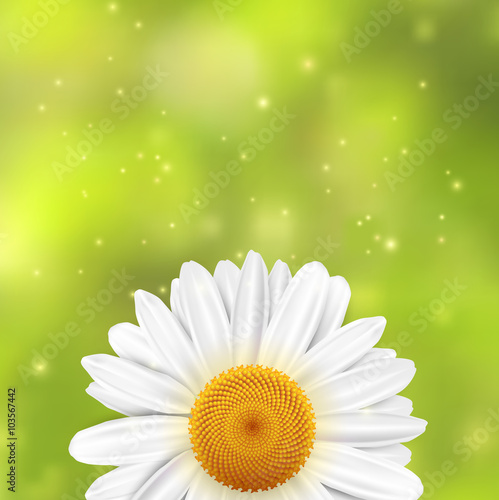 Fototapeta Naklejka Na Ścianę i Meble -  Daisi flower on a green blurred background with sparkles. Vector illustration.