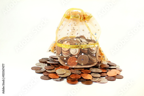 money bag with coin on white background