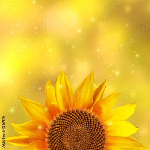Fototapeta Naklejka Na Ścianę i Meble -  A single sunflower on a yellow background, vector illustration.