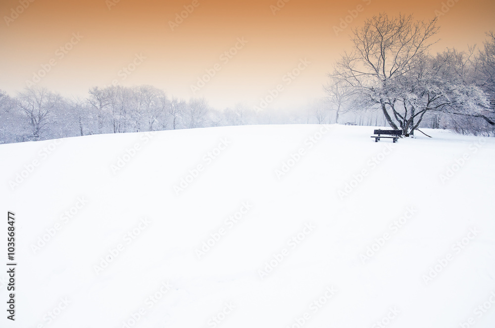 Nice winter scene Nice winter scene