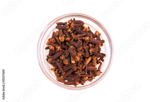cloves on bowl on white background seen from above