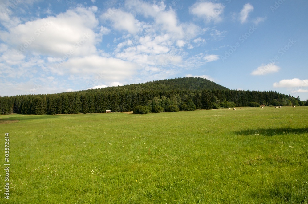 Hill Kravi hora in Novohradske mountains, South Bohemia, Czech republic
