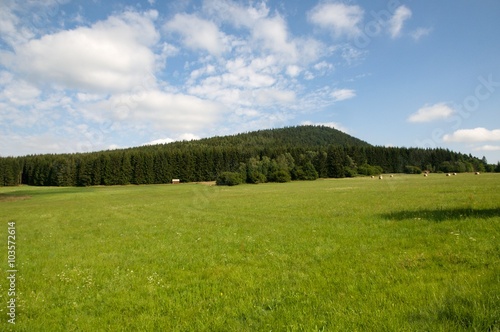 Hill Kravi hora in Novohradske mountains  South Bohemia  Czech republic