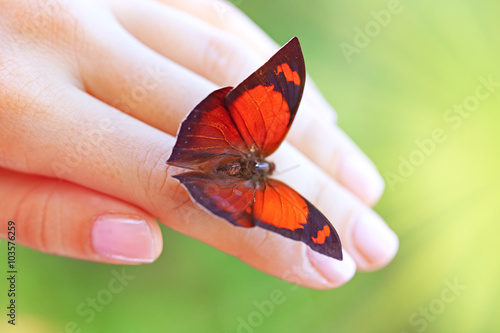 Beautiful colorful butterfly sitting on female hand, close-up photo