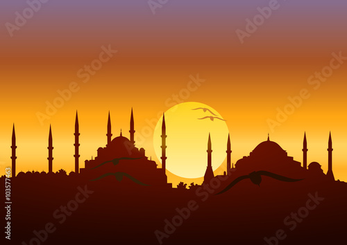 Sultanahmet ve Ayasofya camileri