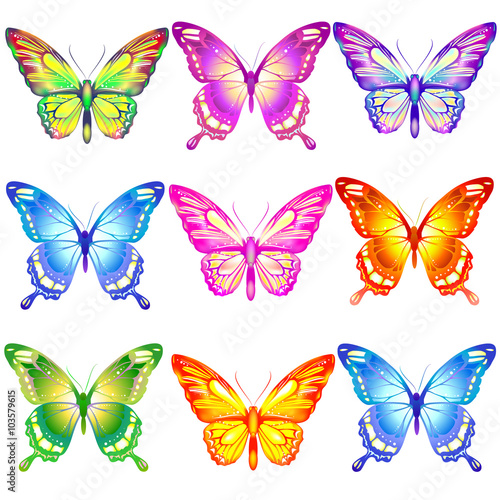 butterflies design