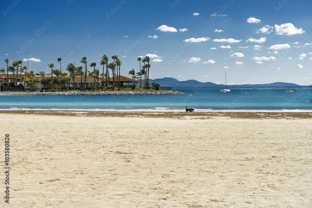 tropical beach tropical beach