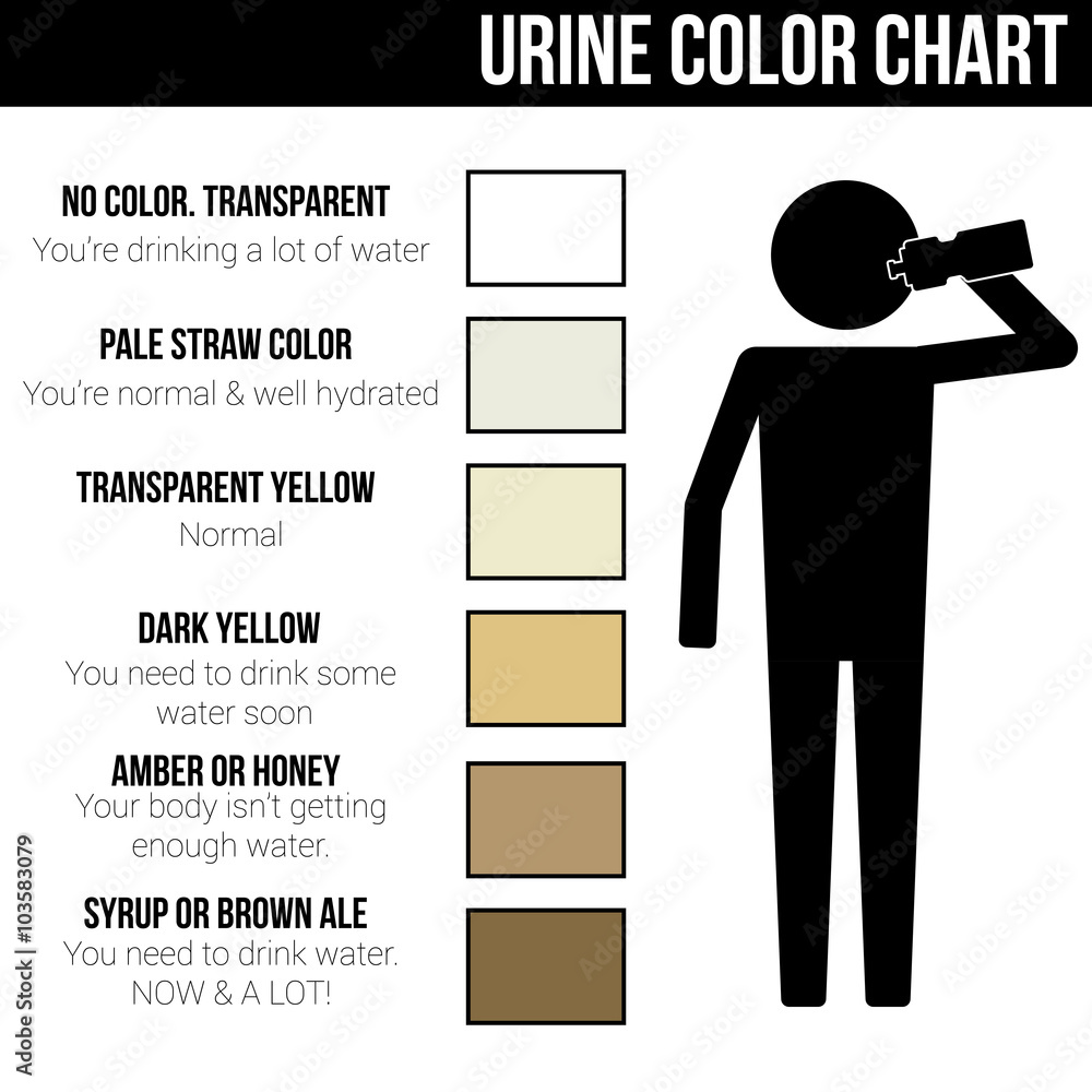 urine-color-chart-icon-symbol-sign-vector-pictogram-info-graphic-stock