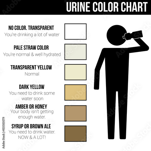 Urine color chart icon symbol sign vector pictogram info graphic
