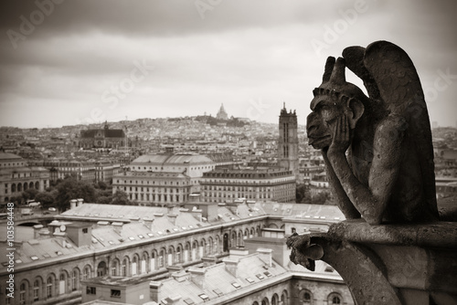 Paris rooftop view