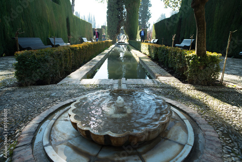 A fountain in the Generalife gardens of the Alhambra palace of Granada. Spain