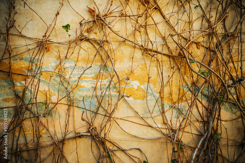 The wall of the old building. Gardens of the Generalife. Granada. Spain