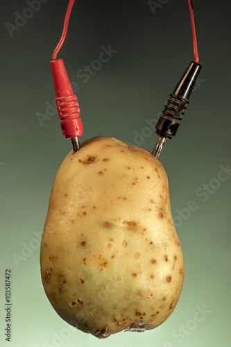 Potato as source of energy, on green background