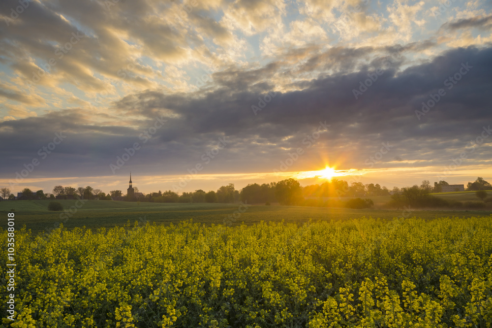Fototapeta premium Wschód słońca nad wiosennym polem