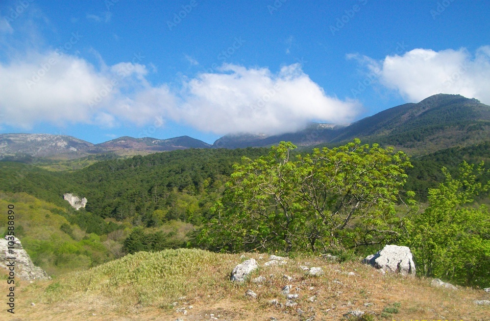 Naklejka premium Crimean mountains 