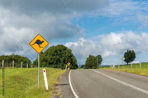Australian outback road with kangaroo road sign