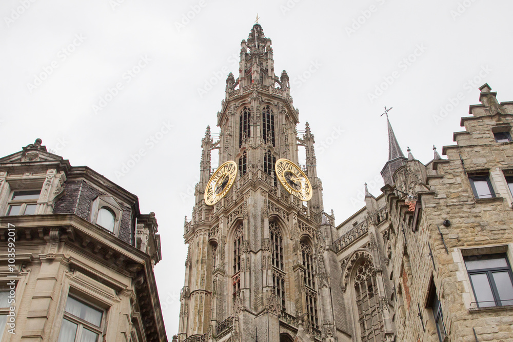 Fototapeta premium Cathedral of Our Lady in Antwerp, Belgium