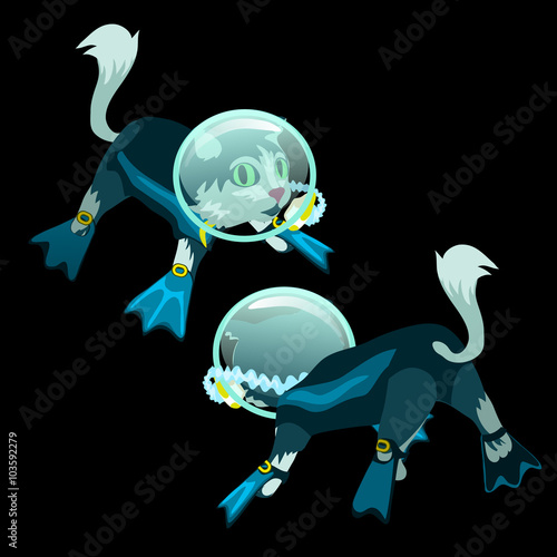 Cat scuba diving in front and back side
