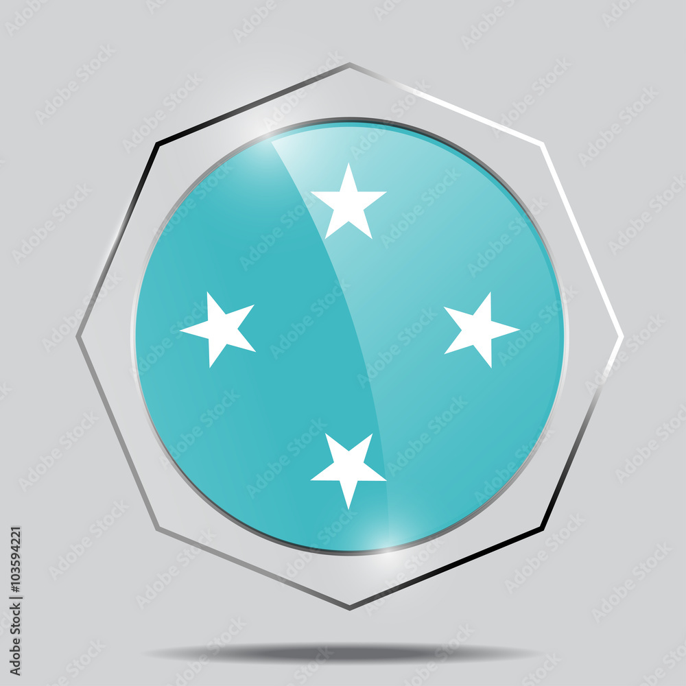 Button Flag of Federated States of Micronesia Button Flag of Federated States of Micronesia