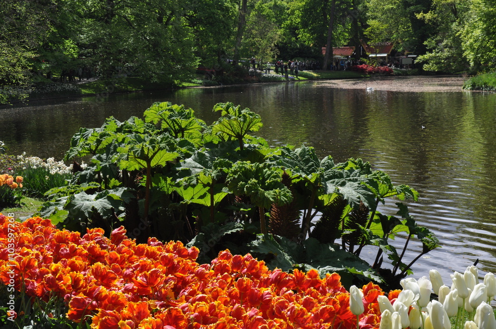 Obraz premium Tulipany