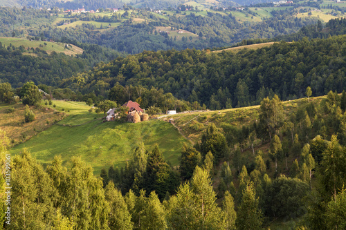 Summer Landscape in the Carpathians, Moeciu - Bran, Romania