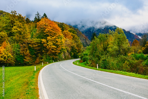 Road in the mountains, Slovenia, Bled, Bohinj. Scenic view of the colorful autumnal forests and hills.