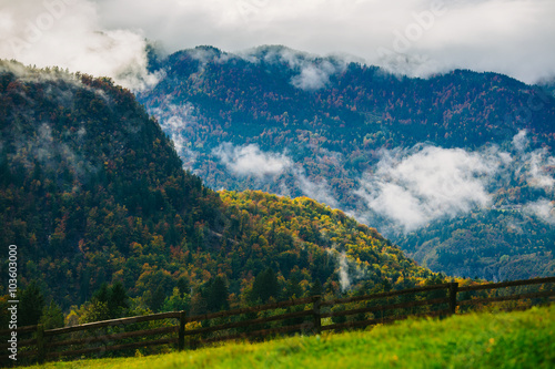 Amazing view of Slovenian forests and meadow near Bled, Slovenia.