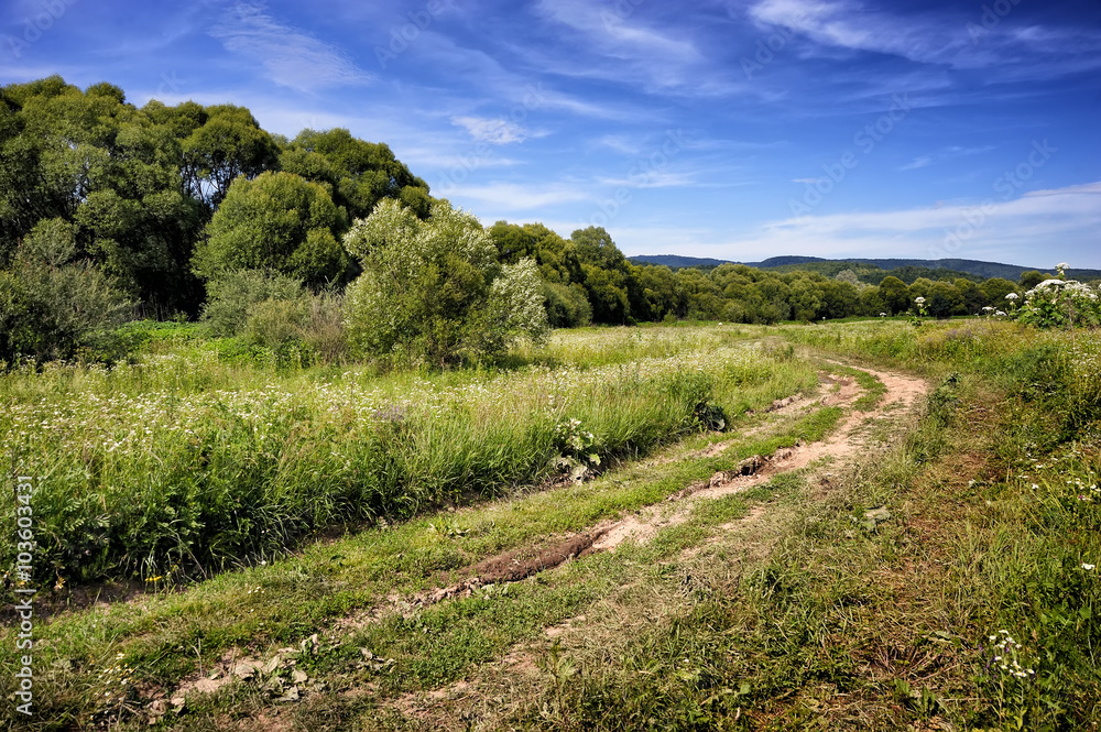 Fototapeta premium Field road in the valley Zakarpattya