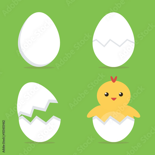 Baby chick hatching from the egg process. Flat design vector illustration. 