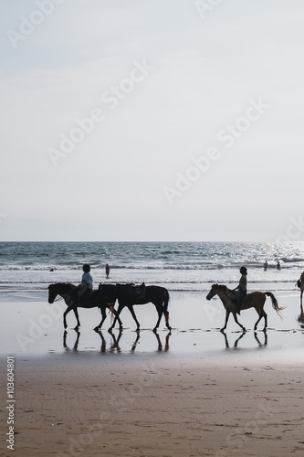 horses in the beach