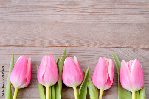 Fototapeta Naklejka Na Ścianę i Meble -  Tulpen