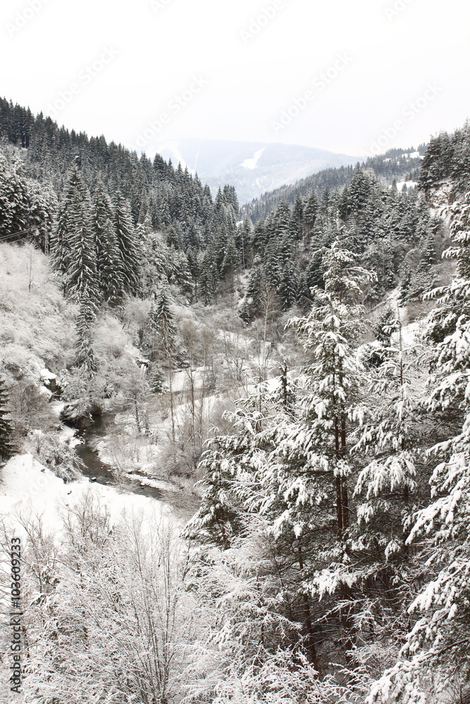 Fototapeta premium Winter landscape