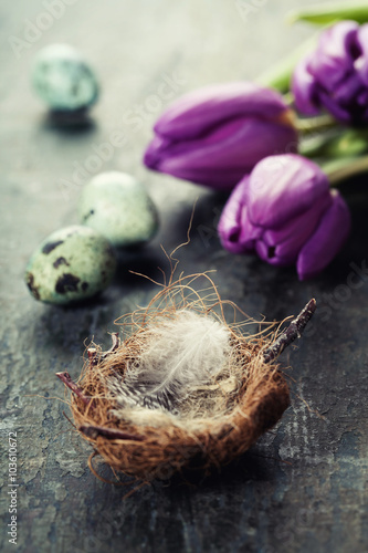 Easter composition with tulips and nest