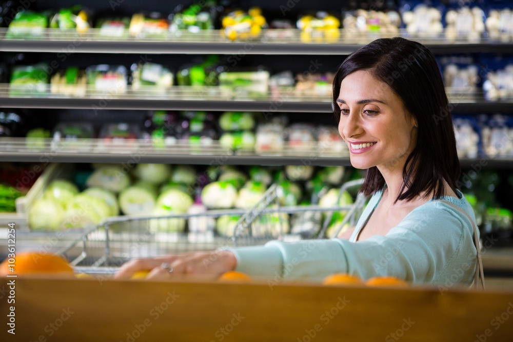 Portrait of a smiling woman doing shopping