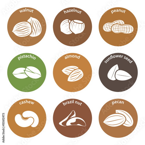 Nuts icon set