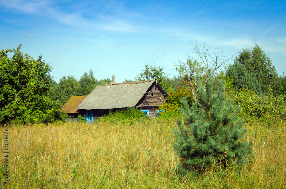 rural hut in summer