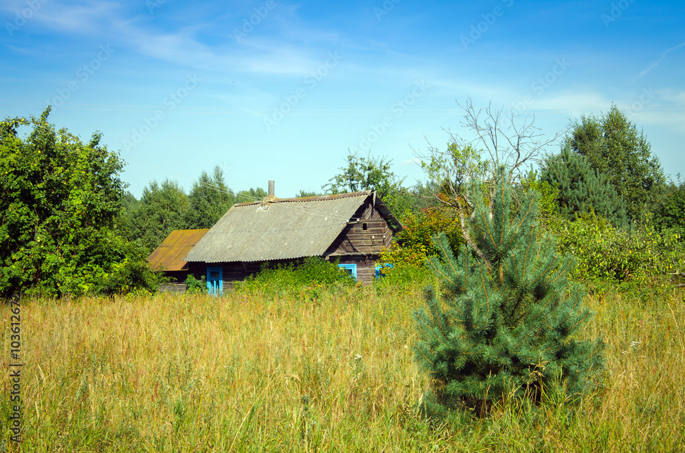rural hut in summer rural hut in summer