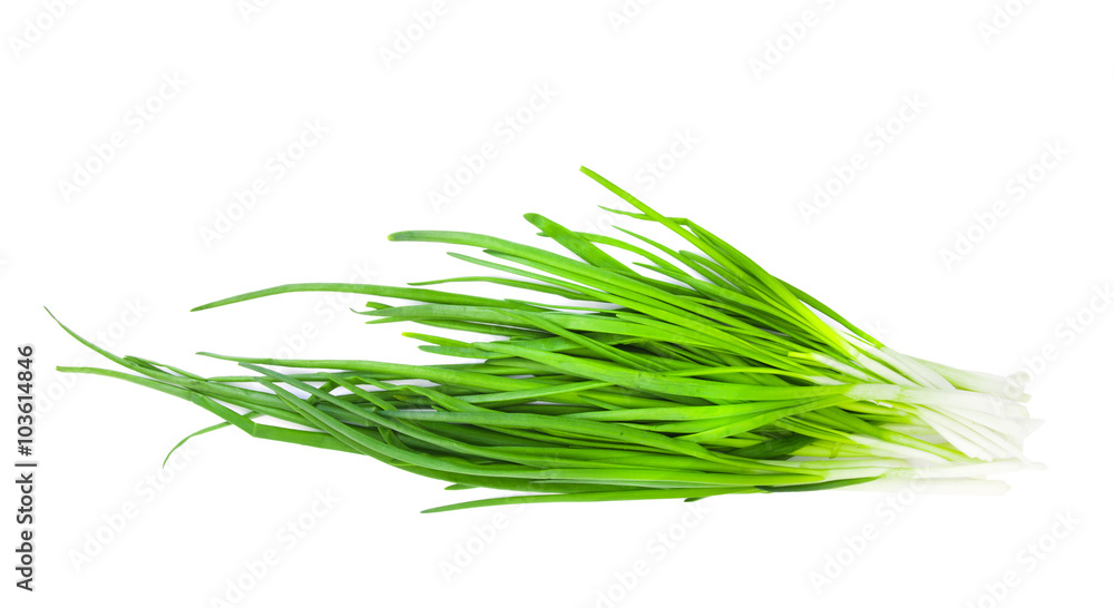 Green Onion Green Onion