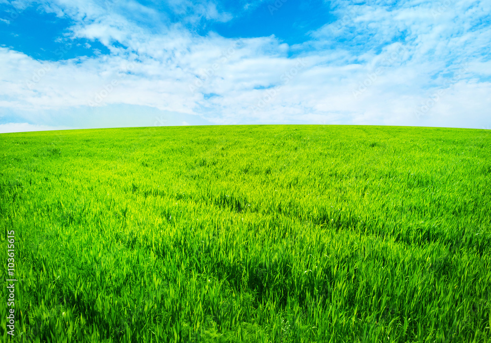 green field