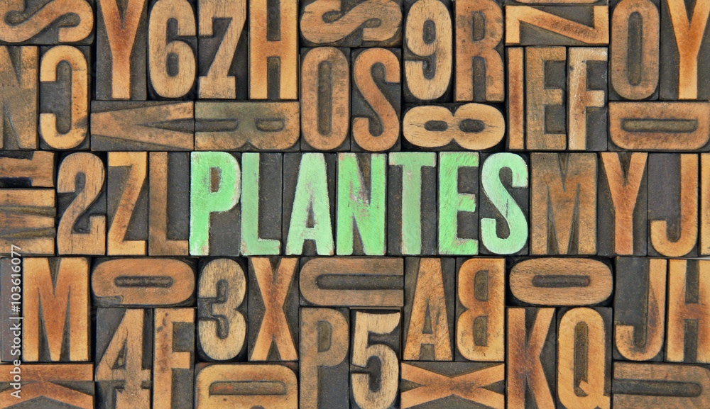 Plantes / caracteres d'imprimerie en bois Plantes / caracteres d'imprimerie en bois