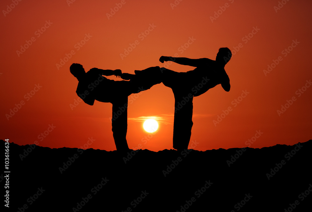 Two Fighters on Sunset